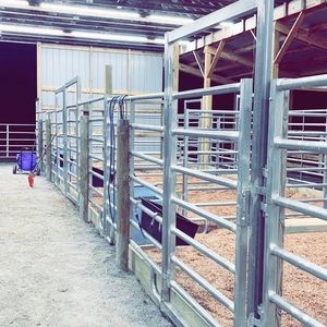 Meet your Posher, Gracie